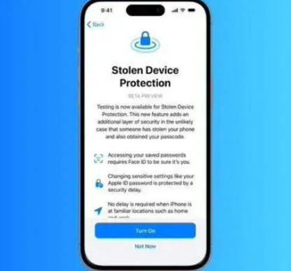 石龙苹果授权维修店分享被盗设备保护功能开启方法 