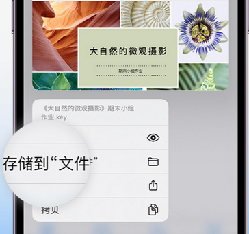 石龙apple维修中心分享iPhone文件应用中存储和找到下载文件