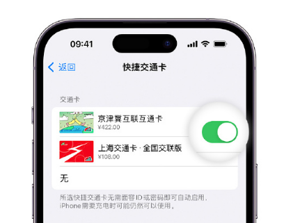 石龙apple维修点分享iPhone上更换Apple Pay快捷交通卡手绘卡面 