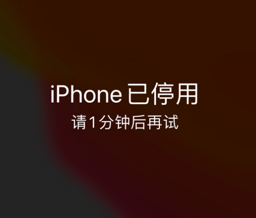 石龙苹果手机维修分享:iPhone 显示“不可用”或“已停用”怎么办？还能保留数据吗？ 