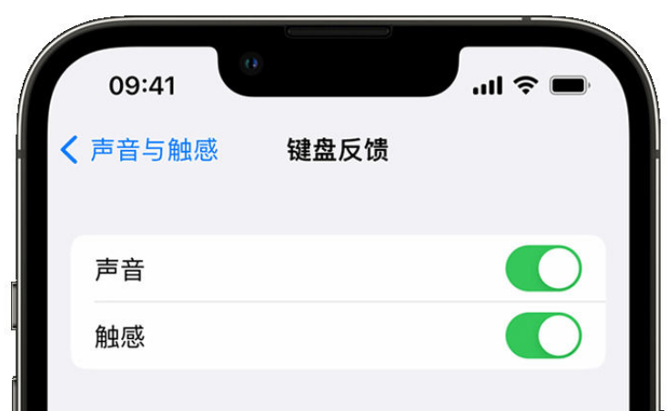 石龙苹果手机维修分享iPhone 14触感键盘使用方法 