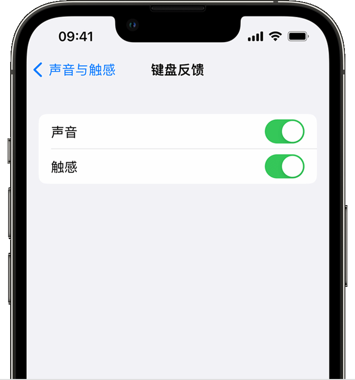 石龙苹果14维修店分享如何在 iPhone 14 机型中使用触感键盘 