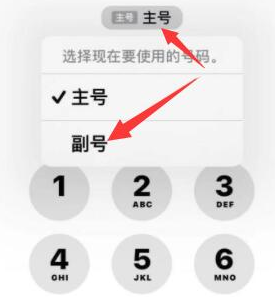 石龙苹果14维修店分享iPhone 14 Pro Max使用副卡打电话的方法 