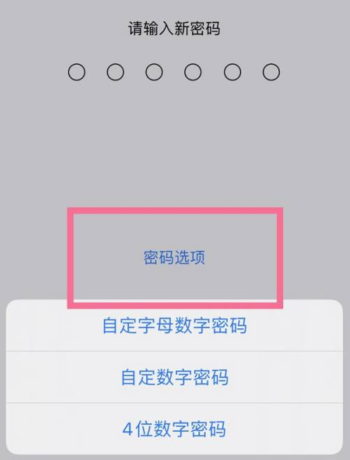 石龙苹果14维修分享iPhone 14plus设置密码的方法 