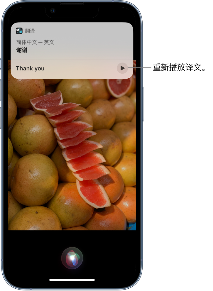 石龙苹果14维修分享 iPhone 14 机型中使用 Siri：了解 Siri 能帮你做什么 