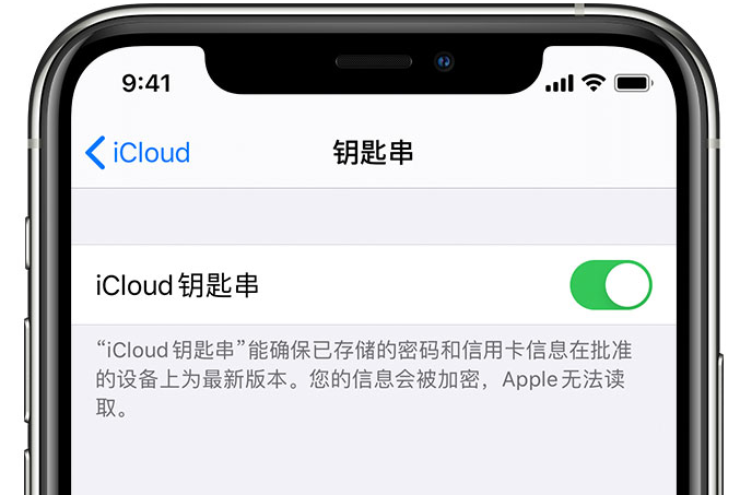 石龙苹果手机维修分享在 iPhone 上开启 iCloud 钥匙串之后会储存哪些信息 